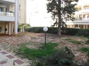 IMG_3296 מקובץ הקמת גינה לבניין משותף