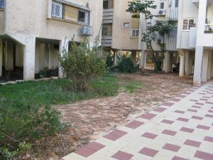 IMG_3298 מקובץ הקמת גינה בבניין משותף ברעננה
