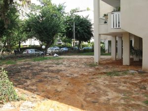 IMG_3304 מקובץ עיצוב גינה בבניין משותף