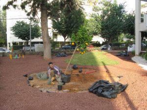 IMG_3314 מקובץ חיפוי טוף אדום והמשך שתילות