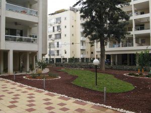 IMG_3352 מקובץ תאורת גן 220 V לאורך שביל הכניסה