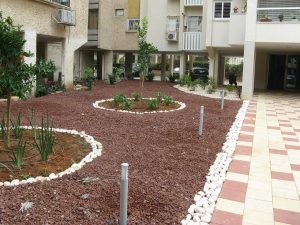 IMG_3353 מקובץ הקמת גינה בניין משותף ברעננה