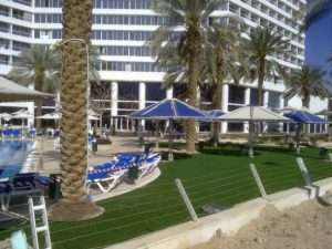 דשא סינטטי מלון קראון פלאזה ים המלח