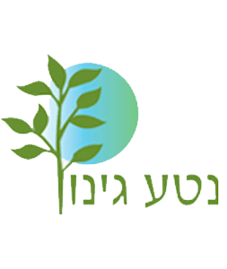 נטע גינון - עיצוב גינה, תכנון והקמה