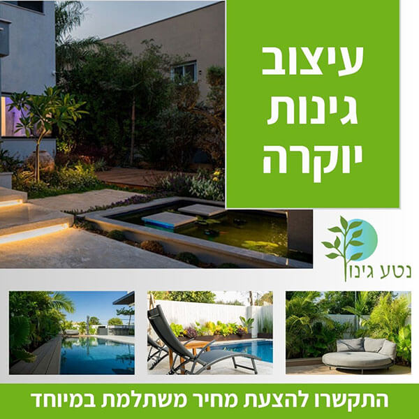 עיצוב גינות יוקרה - נטע גינון