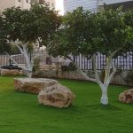 עצים לגינה