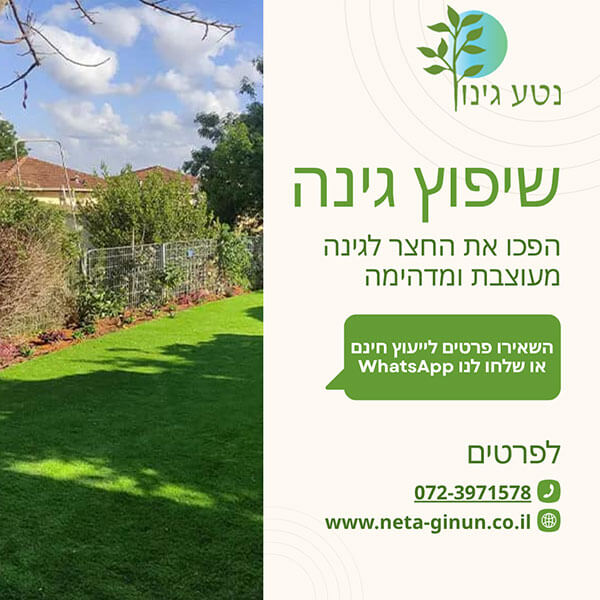 שיפוץ גינה עם נטע גינון
