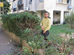 גיזום שיחים ועצים מיותרים בגינה