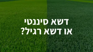 דשא סינטטי או דשא רגיל