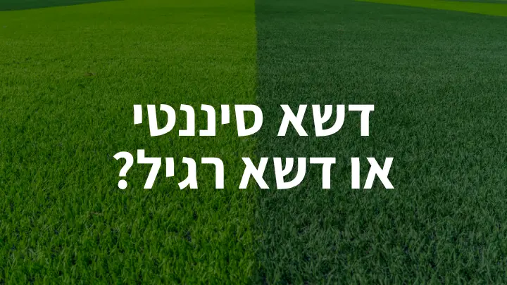 דשא סינטטי או דשא רגיל
