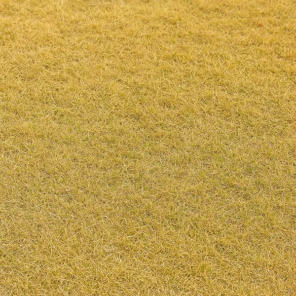 מתי מחליפים דשא