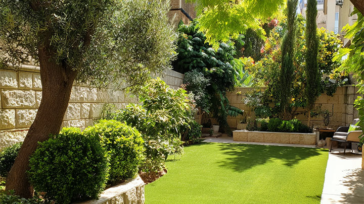 איך גינה חשופה לשמש הפכה לפינה פורחת ומוצלת