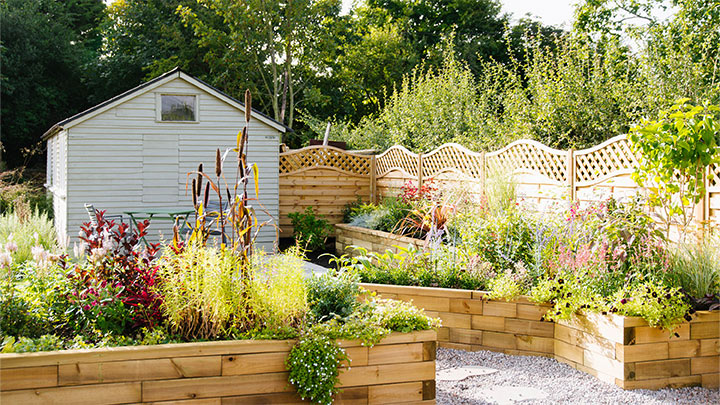 גינה שנשארת יפה גם כשאין זמן