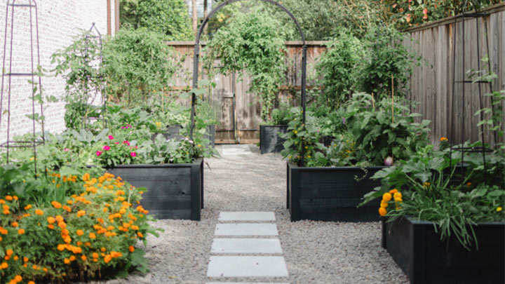 ירוק שנשאר יפה