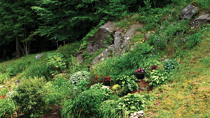 כשסלעים הופכים לקרקע פורייה