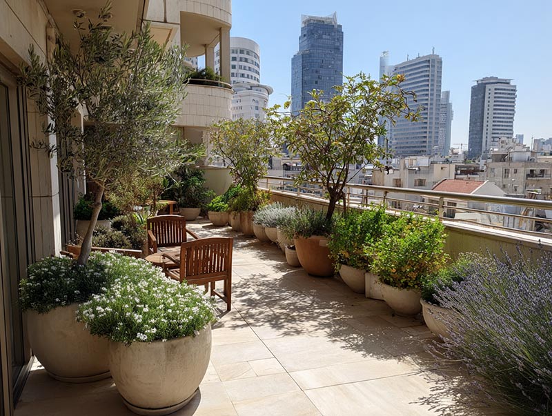 גינה על בטון - פרויקט גג חניון בתל אביב