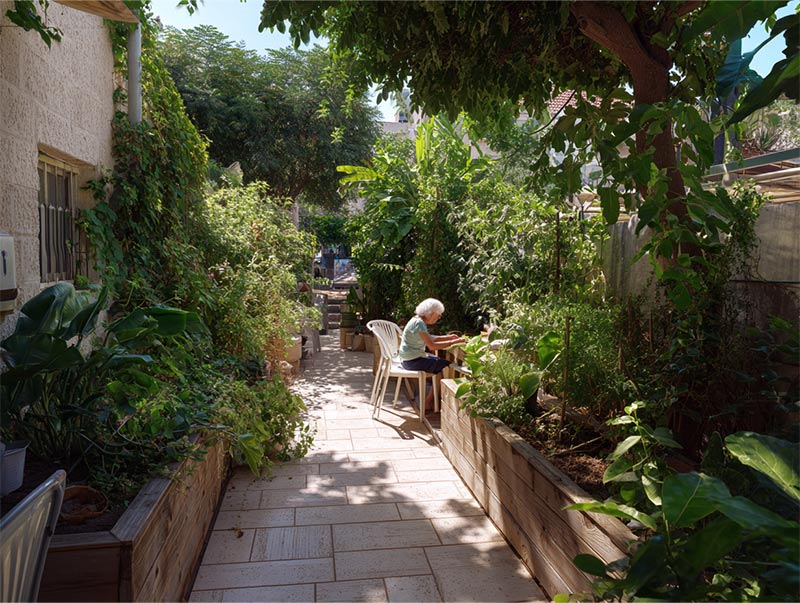 הגינה של לאה - עיצוב מחדש בגיל 74