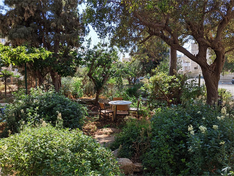 הכביש שנעלם - בידוד רעש טבעי בגינה ברחובות